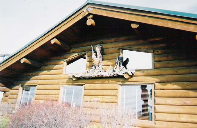 Eagle on Side of House
